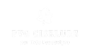 pvg ciselure